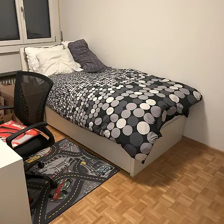 Eurovision! Spacious 3 Bedroom Apartment, Great Location, 30 Min To Eurovision Apartment Basel